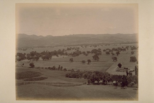 Panorama View from Hill on Caleb Chrriger [Carriger] Place, Looking Northwest across Sonoma Valley (No.2)