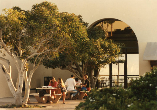 Students studying in Joslyn Plaza