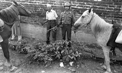 Two men holding horses, San Agustín, Usulután, 1983
