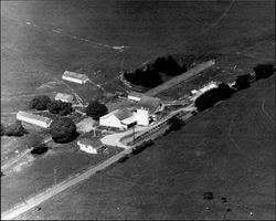 Aerial photograph of an unidentified Sonoma County dairy ranch , Sonoma County, California