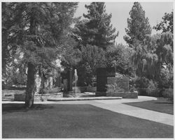 View of the Luther Burbank gardens, Santa Rosa, California, 1967