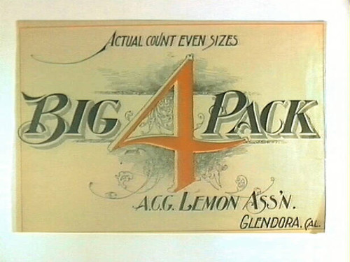 Big 4 Pack
