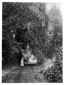 Woman wearing a large hat with scarf, standing in a dirt lane surrounded by vines, ca.1920