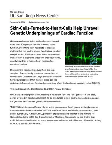 Skin-Cells-Turned-to-Heart-Cells Help Unravel Genetic Underpinnings of Cardiac Function