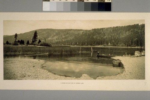 A scene on East End of Donner Lake