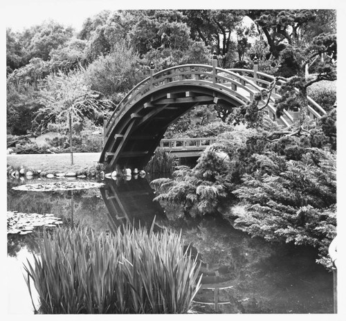 Drum bridge in the Japanese garden, 1972