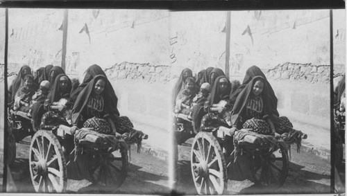 The Flat Cart and Arab Lady Riders, Cairo, Egypt