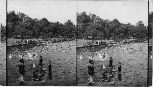 Consolation for the Hot Weather, Frog Pond, Boston Common, on the Hottest Day of the Summer, 104 [degrees]