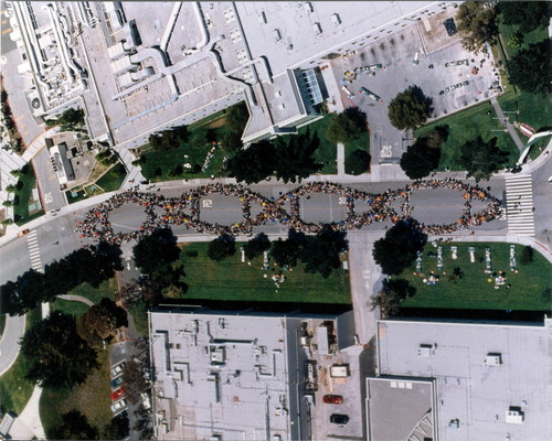 World's Largest Human DNA Chain, Genentech