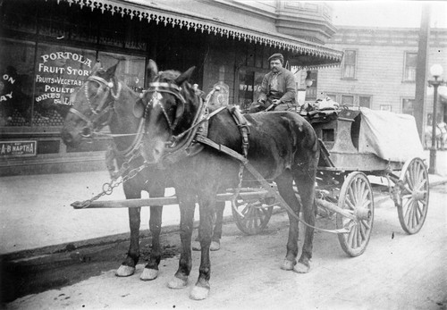 Baden Stock Farm wagon driven by J. Baldini