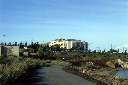 Bay Trail view, Genentech in background (2008)