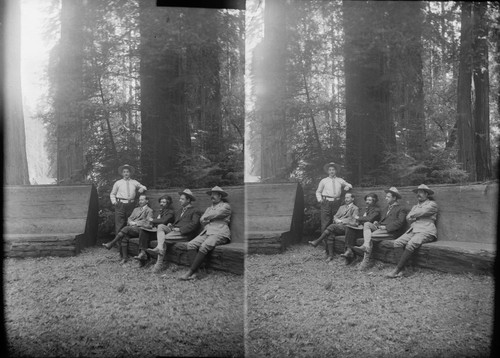 Men sitting on log bench, Bohemian Grove. [negative]