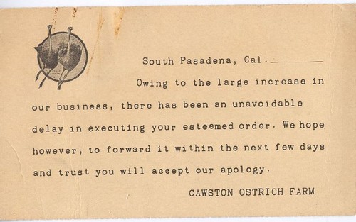 Cawston Ostrich Farm Correspondence Postcard: Delivery Delay