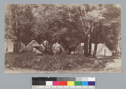 Camp with tents, Bohemian Grove. [photographic print]