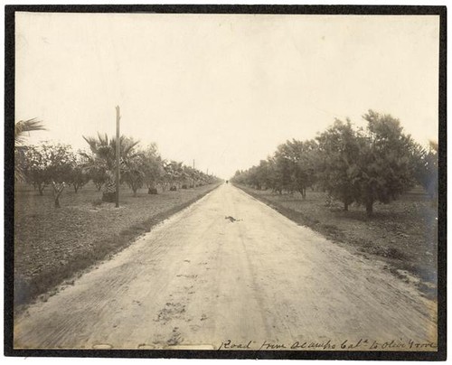 Road from Acampo, California to Olive Grove