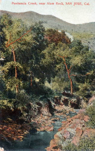 Penitencia Creek near Alum Rock, San Jose
