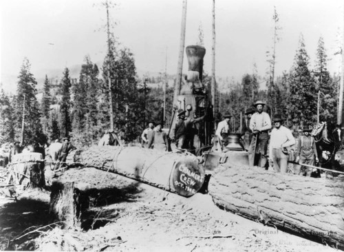 Chalmer's crew of loggers