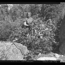 Woman standing behind a manzanita bush