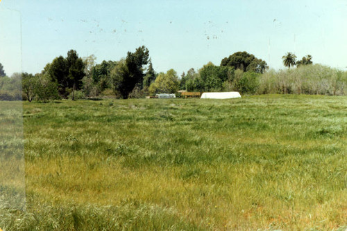 Sepulveda Wildlife Reserve greenhouse, 1981
