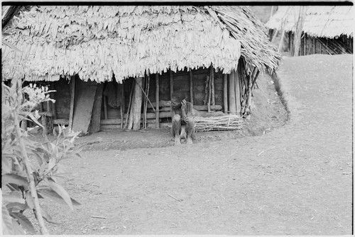 Megiranu, Wanuma Census Division: house with walls of wood heaped between poles
