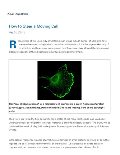 How to Steer a Moving Cell | News from UC San Diego Medical Center