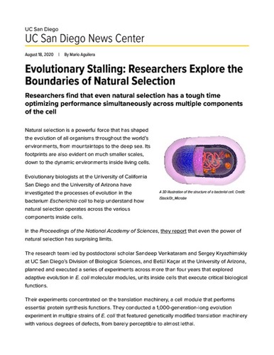 Evolutionary Stalling: Researchers Explore the Boundaries of Natural Selection