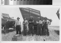 Jack Phillips with farmhands and threshing equipment, Palos Verdes Estates