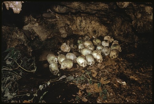 Skull shrine