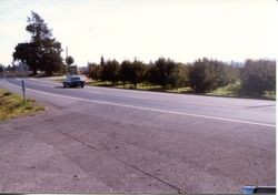 Hallberg Apple Farm roadside stand sign along Gravenstein Highway North (Highway 116), Sebastopol, California, 1979