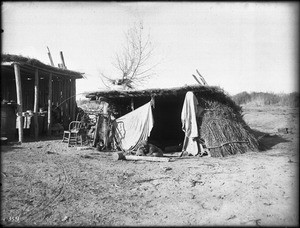 Old blind Yuma Indian woman laying in front of a small native thatched dwelling, ca.1900