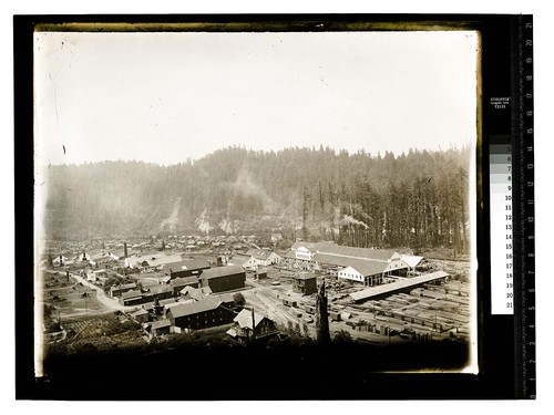[Scotia - Pacific Lumber Co #3/unknown]