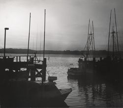 Sunset scene of fishing boats docked in Bodega Harbor, Westshore Road, Bodega Bay, California, about 1970