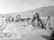Threshing Wheat, Reed Ranch, Sultana, Calif., ca 1888