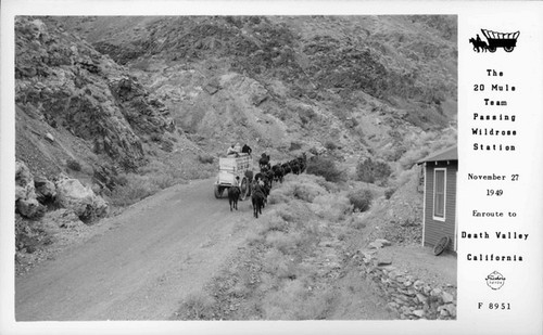The 20 Mule Team Passing Wildrose Station November 27 1949 Enrute to Death Valley California