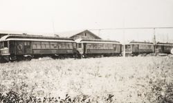 Petaluma and Santa Rosa Railroad cars in Petaluma, California, about 1930