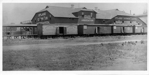 Upland Photograph Agriculture--Citrus; Open freight car doors stopped at Upland Citrus Association packing house / Esther Boulton Black Estate