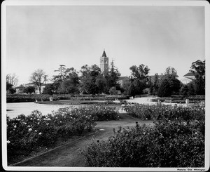 A view of the flower garden and pond within Exposition Park with the Mudd Hall of Philosophy of the University of Southern California (USC) in the background
