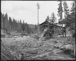 Oregon Lumber Company mill in the Hood River Valley, Oregon, ca.1900