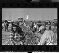 United Farm Worker's strike in Delano, 1965