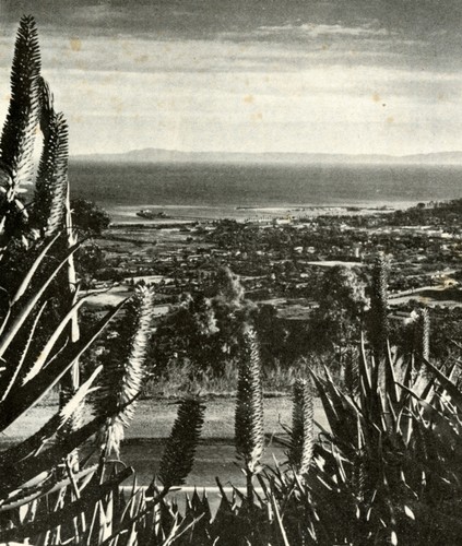 Panoramic of Santa Barbara