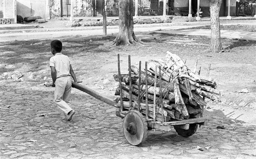 Child pulls load of logs, San Agustín, 1983