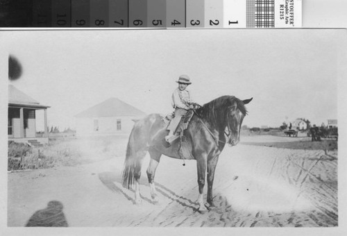 Photograph of unidentified boy on a horse in Turlock, California, circa 1905