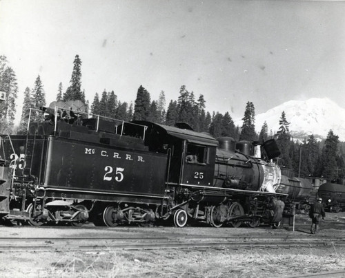 Railroad Locomotive No. 25