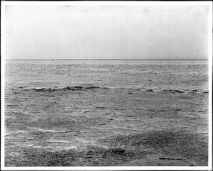 View of the Salton Sea showing salt incrustations (salt crust), Salton Sea Basin, Colorado Desert, east of Palm Springs, ca.1903-1904