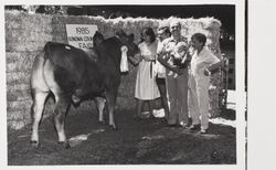 Kristy DeOme and her 4H Reserve Grand Champion steer at the Sonoma County Fair, Santa Rosa, California, 1985
