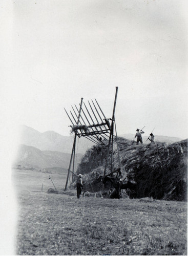 Men working with hay baler at the Barker Ranch on the Banning Bench near Banning, California