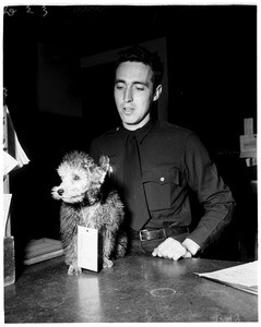 Dog belonging to narcotics suspect at West Los Angeles desk for safekeeping, 1952