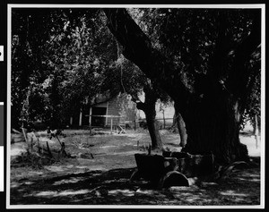 Exterior view of an adobe on Rancho Temblor, Bakersfield, 1935