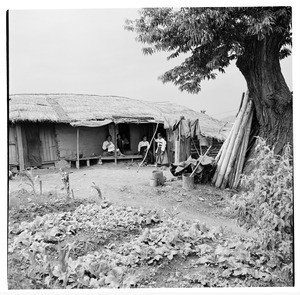 Women on porch of thatched cottage, with vegetable garden in front, Korea