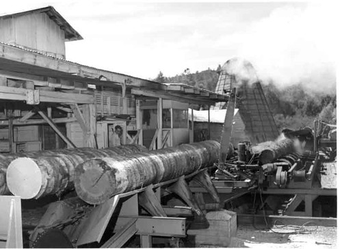 Sierra Sky Ranch Lumber Mill